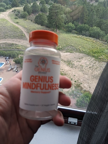 Genius Mindfulness