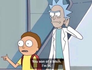 300px-You_Son_of_a_Bitch,I’m_In(Morty)